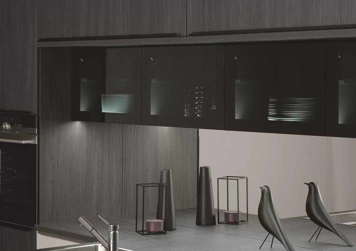 검은색 유리문이 있는 현대적인 주방 캐비닛